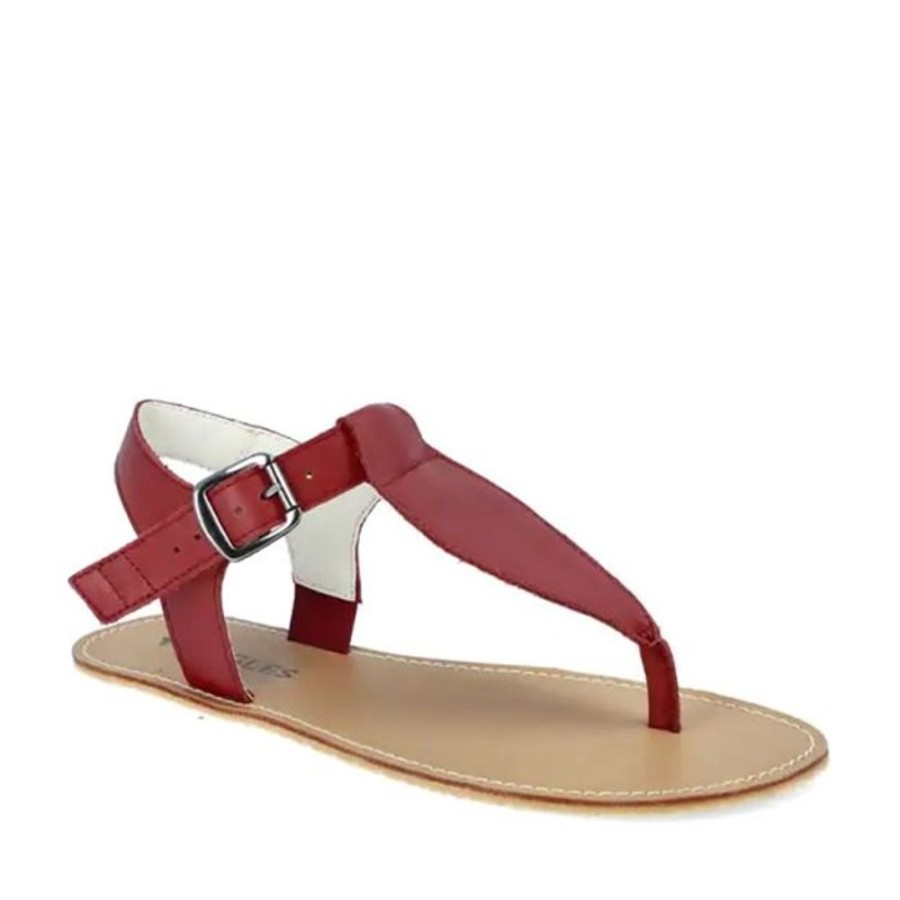 Adults Angles Shoes | Angles Ares Burgundy