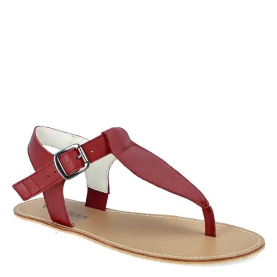 Adults Angles Shoes | Angles Ares Burgundy