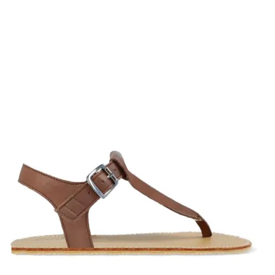 Adults Angles Shoes | Angles Ares Brown